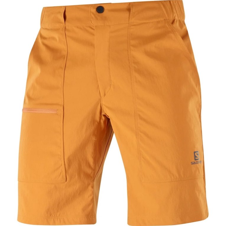 Yellow Salomon Outrack Men's Shorts | IE UX5819